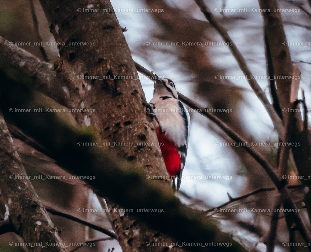 20240207111402_9I4A5355 | immer_mit_kamera_unterwegs