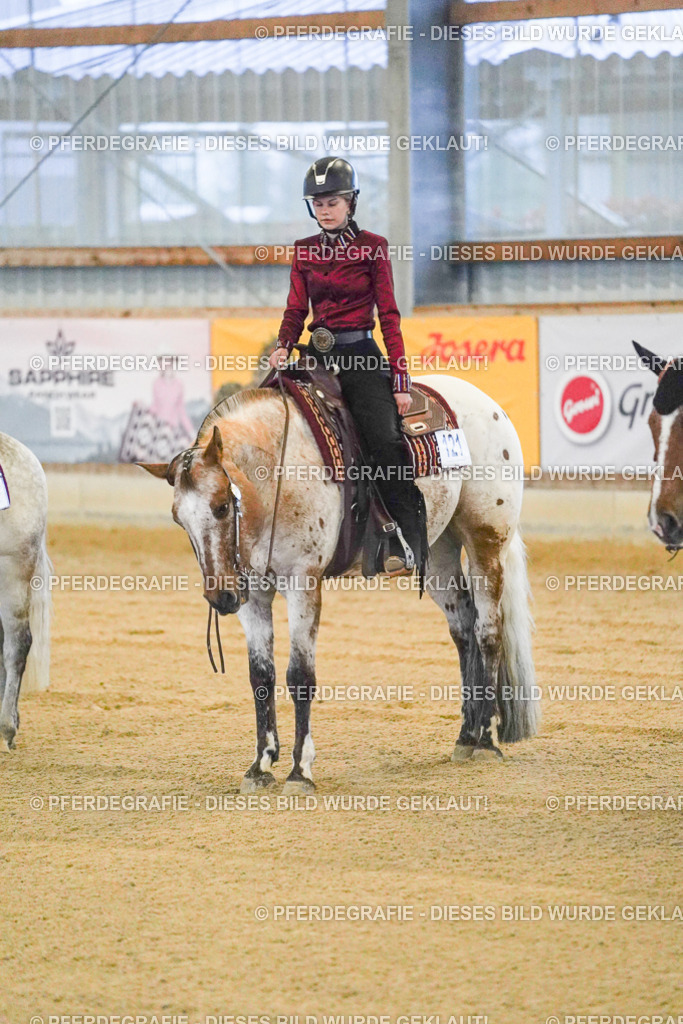 DSC08808 | Pferdegrafie