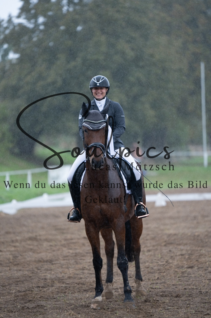 A7V05791 | Pferdefotograf