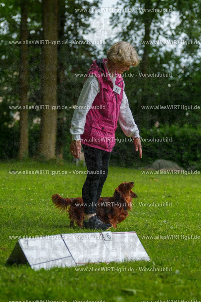 @allesWIRTHgut_Tierfotografie - www.allesWIRTHgut.de - 090816-7R506575 | Professionelle Tierfotografie in Mönchengladbach von Daniel Wirth (allesWIRTHgut). Liebevolle & natürliche Bilder von Hunden & Katzen für unvergessliche Erinnerungen.