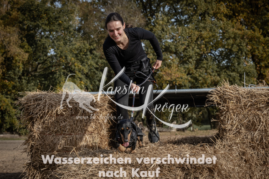 1213_ZZ93765 | kk-dogfotos