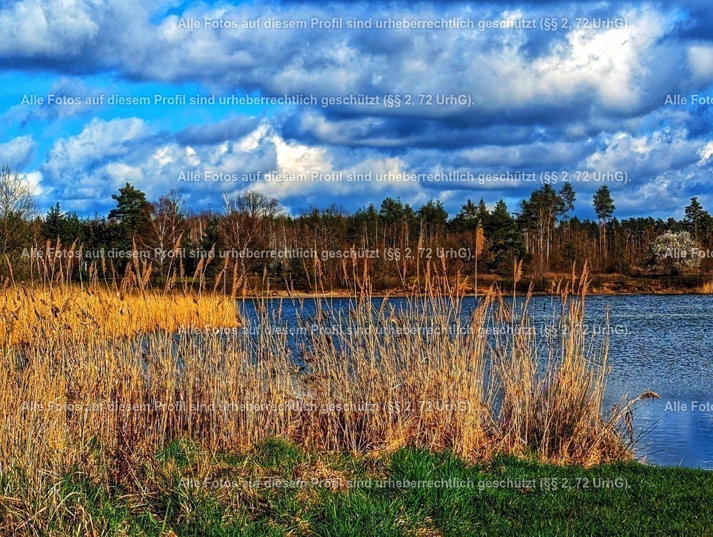 PXL_20230327_143437088-01-01 | krollfotografie - Realisiert mit Pictrs.com