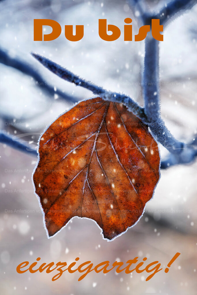 Postkarte "Du bist einzigartig!" | People- und Tierfotografie, Imageaufnahmen, Veranstaltungsfotografie und Wandbilder aus der Natur ★ Made in Germany ✔️ Druck + Downloads ✔️ Naturfotografie in Top Qualität ★ schneller Versand, weltweite Lieferung! - Realisiert mit Pictrs.com