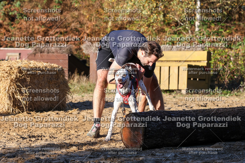 Dog Paparazzi - Strongdog 10-25-1273 | Dog Paparazzi Jeanette Grottendiek Fotografie & Videografie - Realisiert mit Pictrs.com