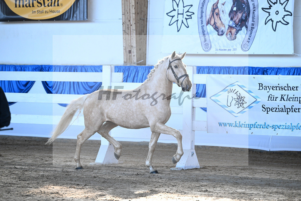 Kat-Nr. 3 Teneree Terrapaz v. Miura de Cais_Landfried_9260069 | hf-fotografie - Realisiert mit Pictrs.com