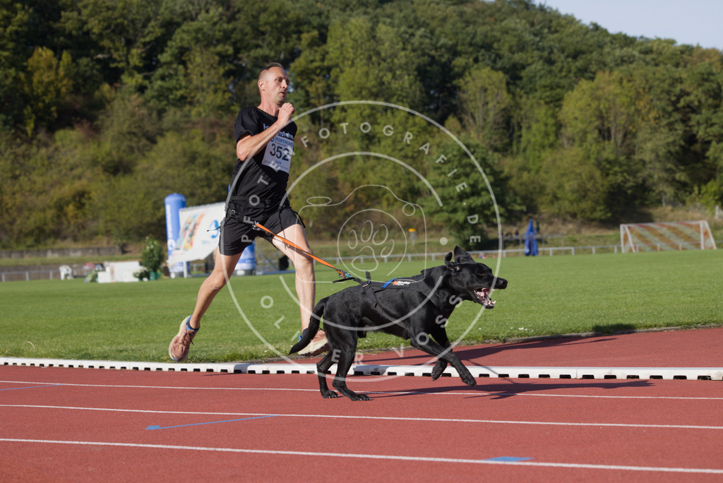 0L8A9936 | Hundefotografie, Tierfotograf, Pfotenfotografie, Fotoshooting Hund, Hunde Portrait, Hundesport, Hundeportraits, Heideshooting, Hunde, Sportfotograf, Hundefotograf, Turnierhundsport, THS,  - Realisiert mit Pictrs.com