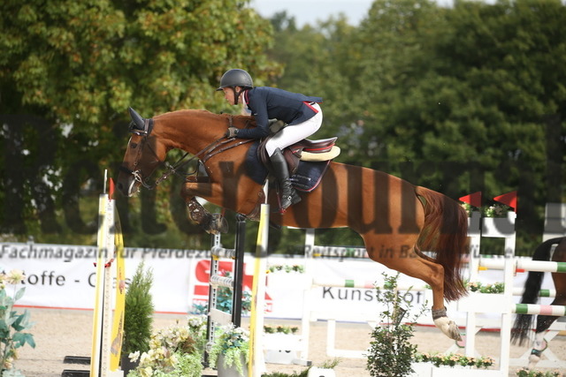 Villingendorf_2022_Prfg.Nr.12_zwei Phasen_Springprfg.Kl.M_Amateur-Tour_Sandra Deufel_Belle Petite D (3) | Alle Fotos der Reiterjournal Fotografin Doris Matthaes im Reiterjournal Online-Fotoshop. - Realisiert mit Pictrs.com