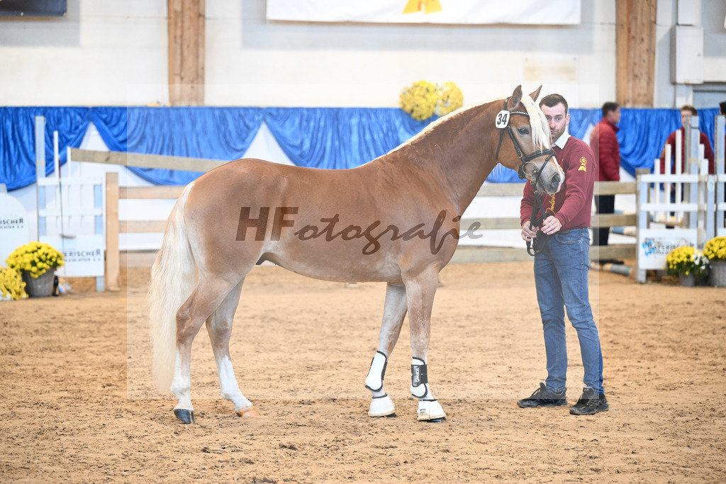 Kat-Nr. 34 nn v. Starino I_Grimminger_48250710 | hf-fotografie - Realisiert mit Pictrs.com