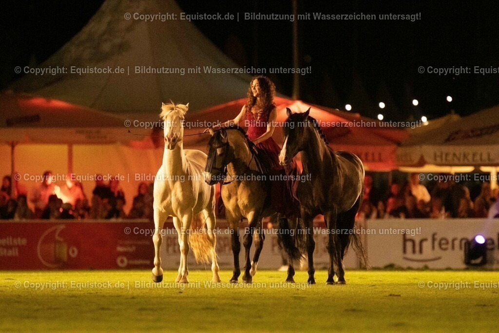 20230526_Pferdenacht_1511 | equistock