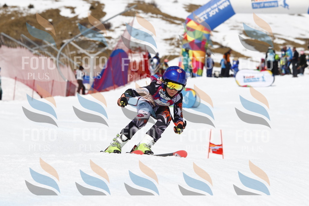 _U3G8202 | holidayphoto