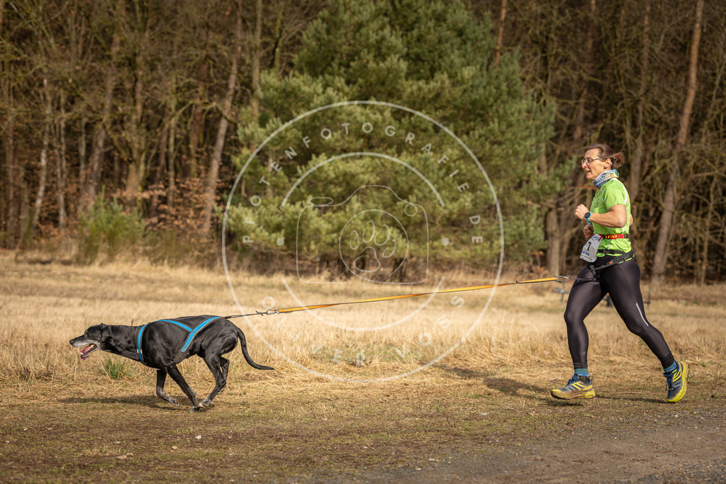 DV3A3730 | Hundefotografie, Tierfotograf, Pfotenfotografie, Fotoshooting Hund, Hunde Portrait, Hundesport, Hundeportraits, Heideshooting, Hunde, Sportfotograf, Hundefotograf, Turnierhundsport, THS,  - Realisiert mit Pictrs.com