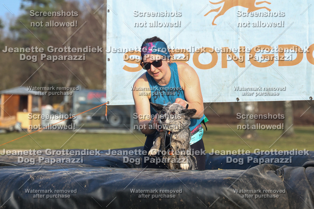Dog Paparazzi - Strongdog North Mrz26-3591 | Dog Paparazzi Jeanette Grottendiek Fotografie & Videografie - Realisiert mit Pictrs.com