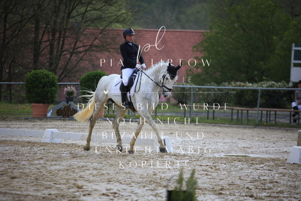 IMGT4818 | pl-fotografie