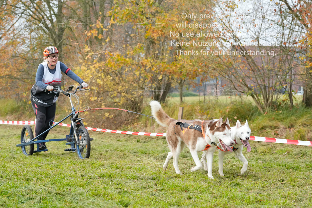 Visbeck_Sa_DS2DR2-156 | stephaniefillaphotographie - Realisiert mit Pictrs.com