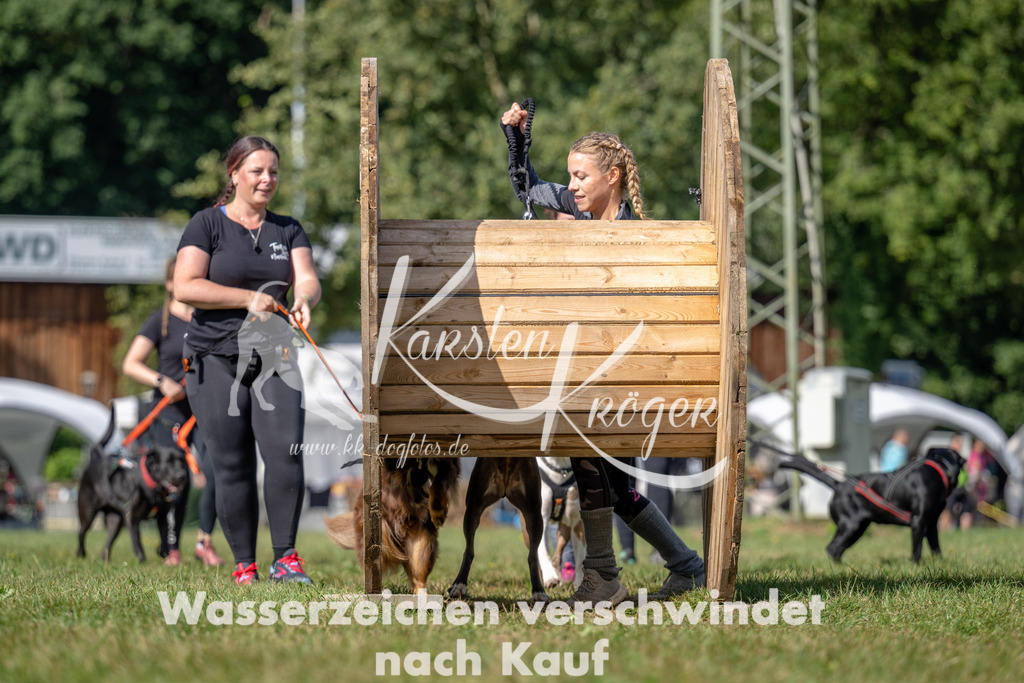 1131_ZZ90372 | kk-dogfotos
