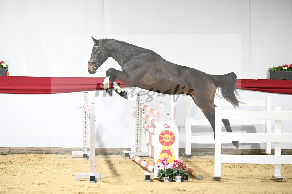 Kat-Nr. 36 v. Diego de Semilly_Schaefer_63220957 | hf-fotografie - Realizzato con Pictrs.com