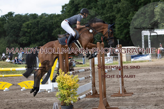 16.8.25 SPR L (662 von 1074) | mandyhollmannphotographie