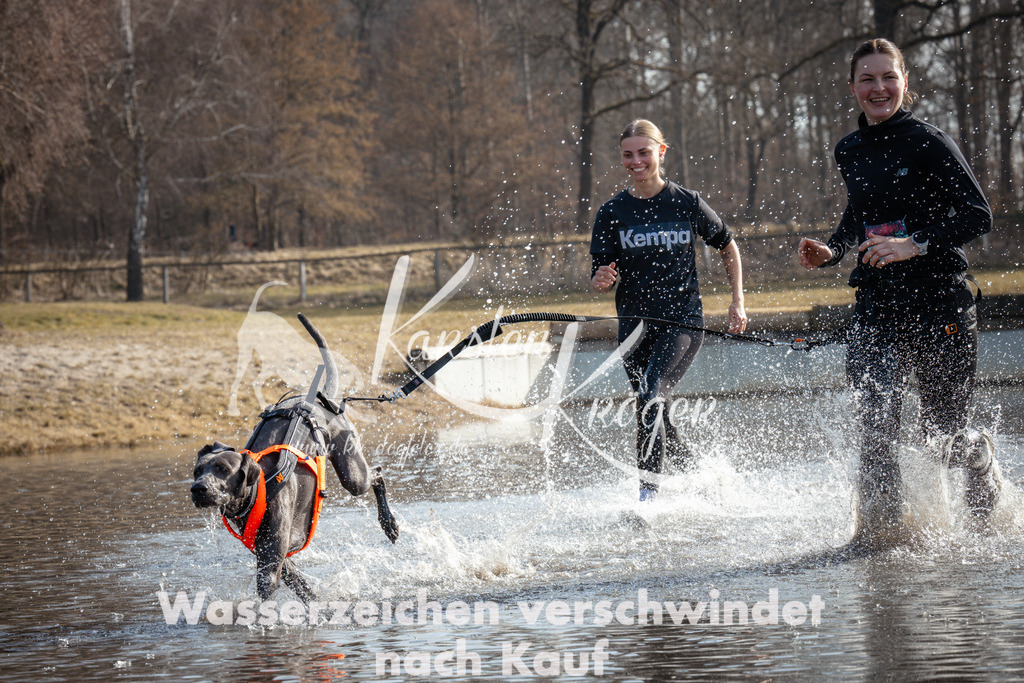 1103_ZZ92048 | kk-dogfotos
