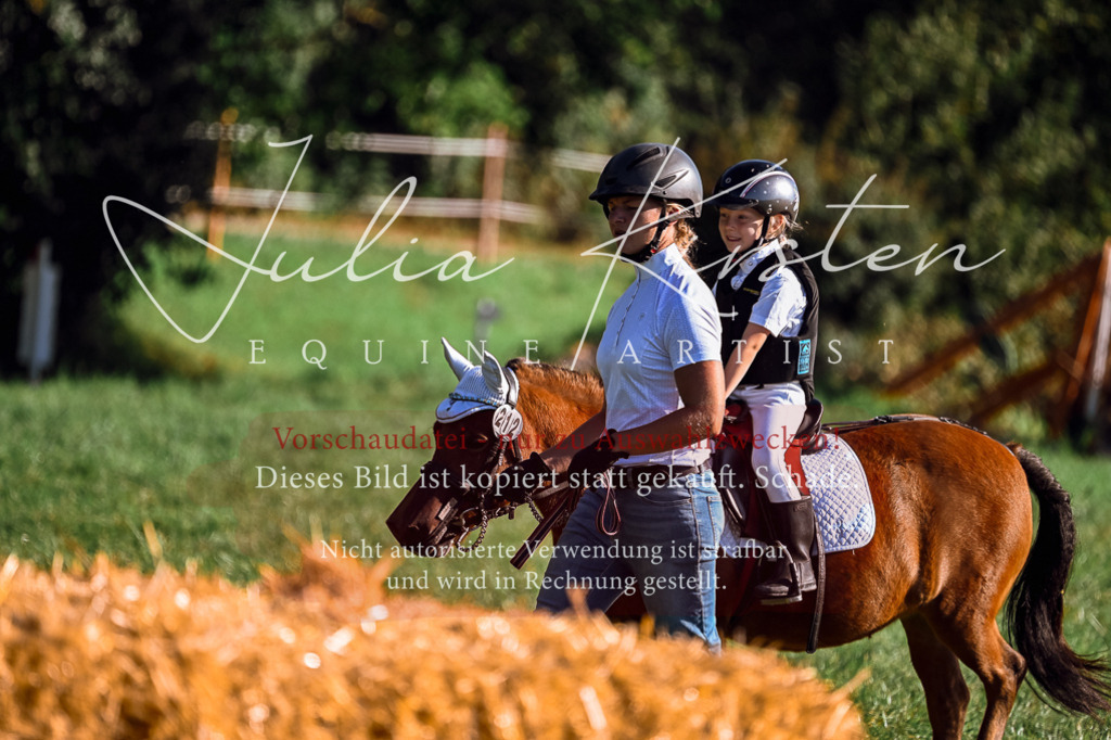 DSC_0455 | Pferde- und Turnierfotografie in Westsachsen. Pferdeportraits, Auftragszeichnungen und intuitive Kunst.