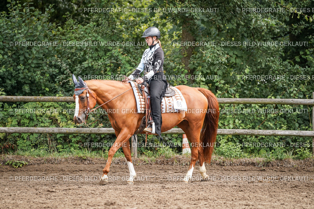 DSC04173 | Pferdegrafie