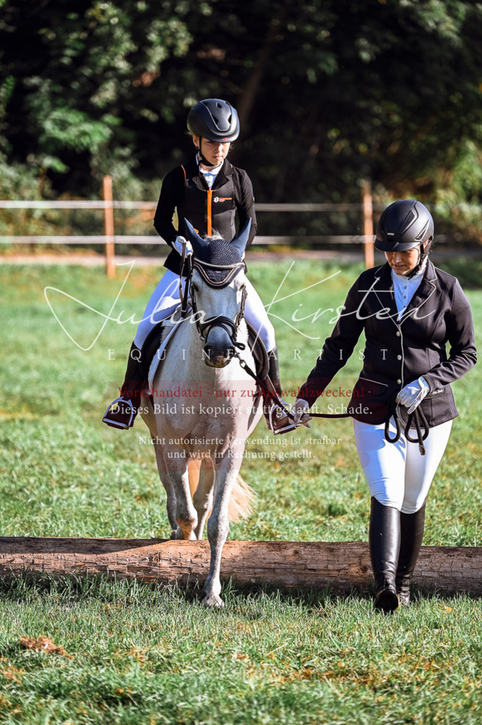DSC_0412 | Pferde- und Turnierfotografie in Westsachsen. Pferdeportraits, Auftragszeichnungen und intuitive Kunst.