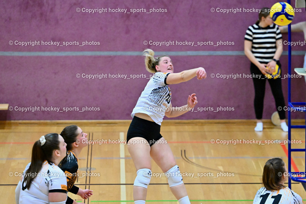 ASKÖ Volley Eagles Villach vs. TI- Schu Staudinger Volley 22.3.2024 | #13 Vanessa BEBEKAJLO Villach ASKÖ Volley, ASKÖ Volley Eagles Villach vs. TI- Schu Staudinger Volley 22.3.2024, ASKÖ Volley Eagles Villach vs. TI- Schu Staudinger Volley am 22.03.2024 in Villach (Ballspielhalle Lind), Austria, (Photo by Bernd Stefan)