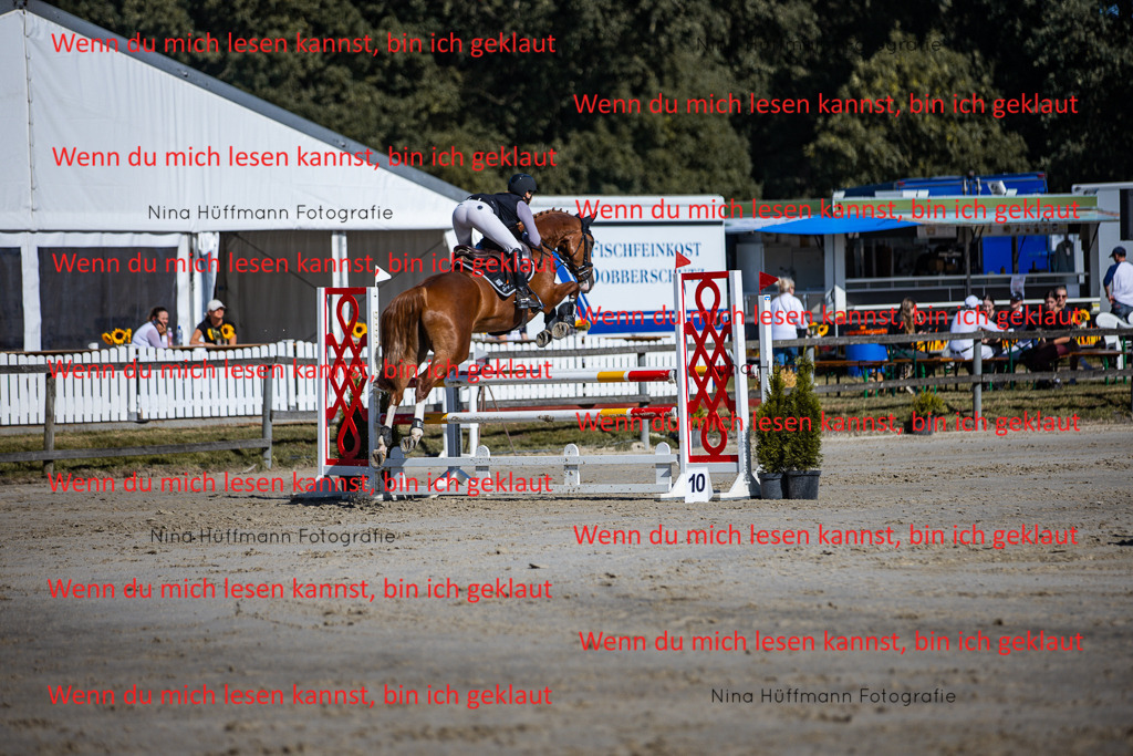 BK1A5757 | Turnierbilder Turnierfotos Nina Hüffmann Turnierfotografie Pferdefotografie Tierzeichnung Haustierzeichnung Pferdezeichnung Hundezeichnung Videograf  - Realisiert mit Pictrs.com