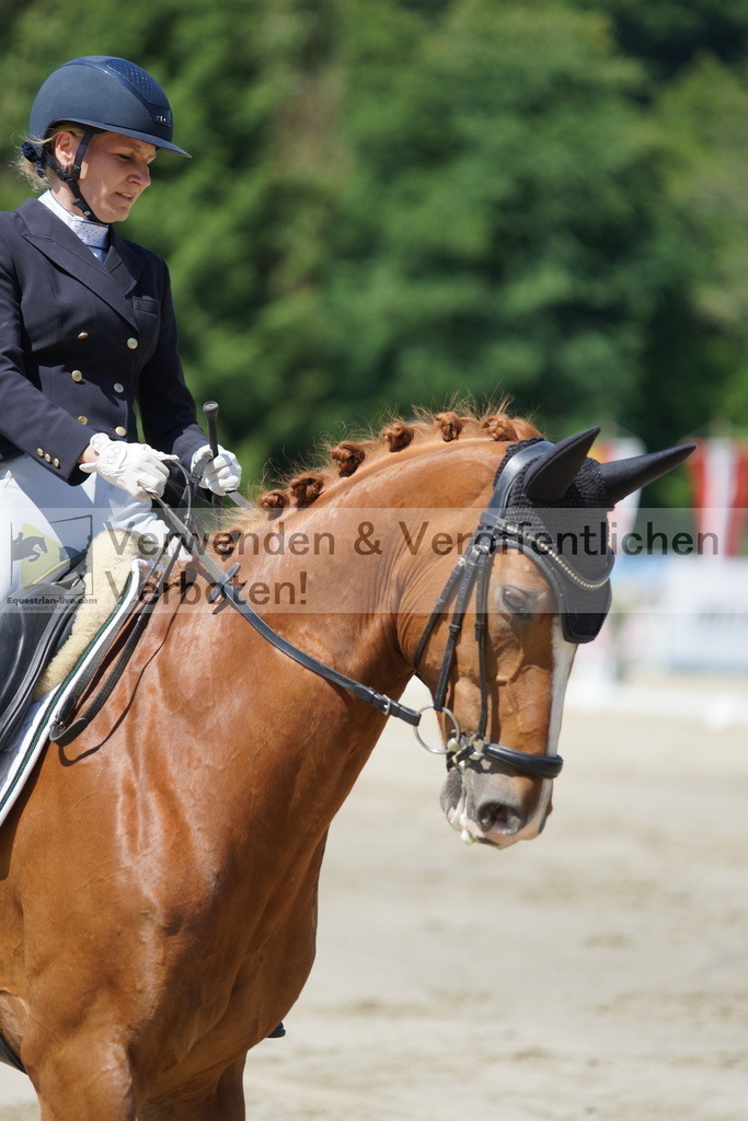 DSC03168 | equestrian-live-com