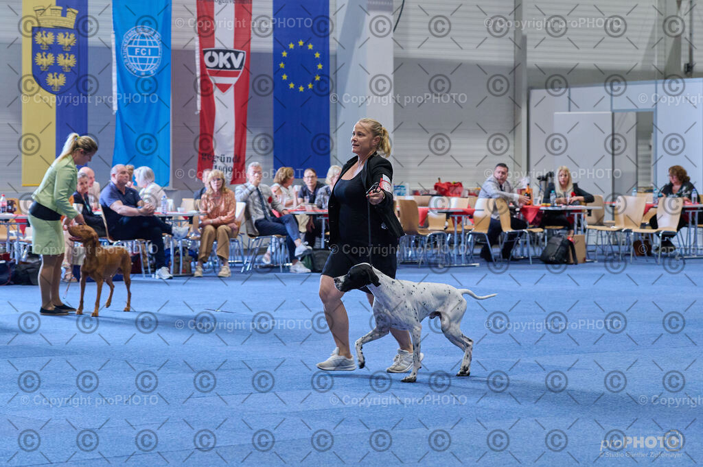 202406_ÖKV-IHA-Tulln24_DSC_5053 | proPHOTO - Realisiert mit Pictrs.com