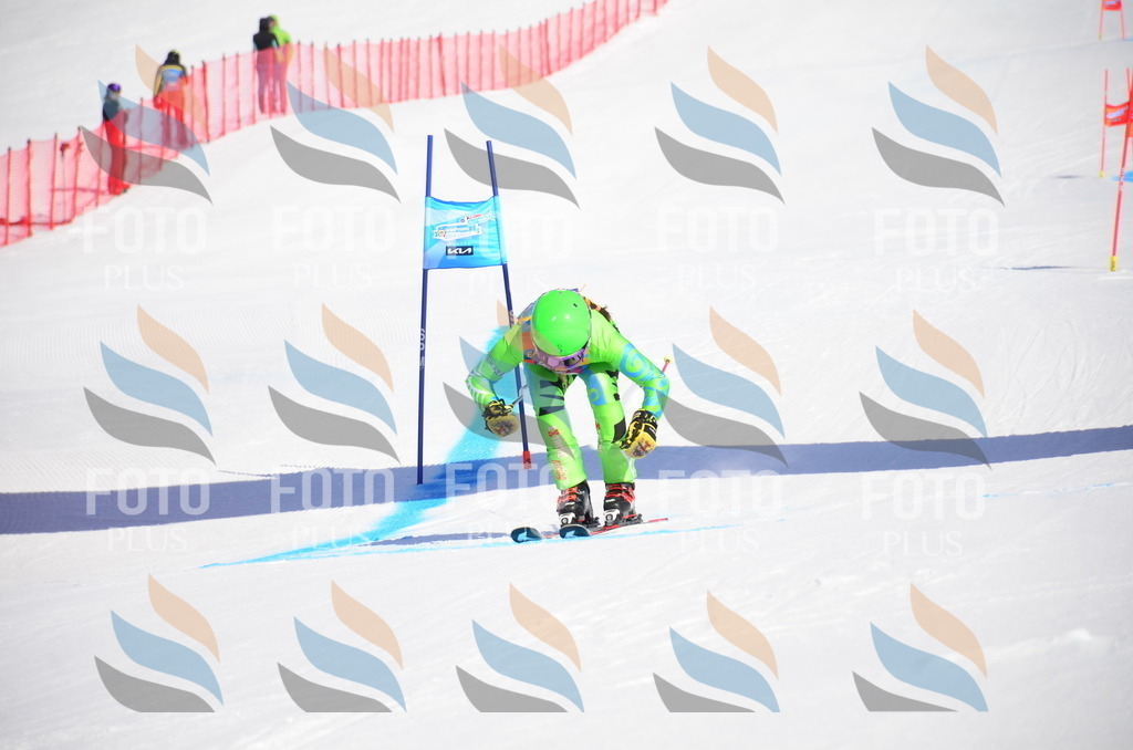 VR4_9084 | holidayphoto