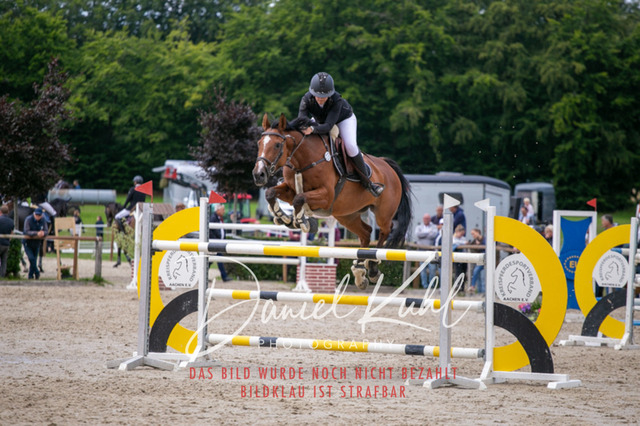 IMG_5799 | Turniersportfotografie; Pferdefotografie; Dressurfotografie