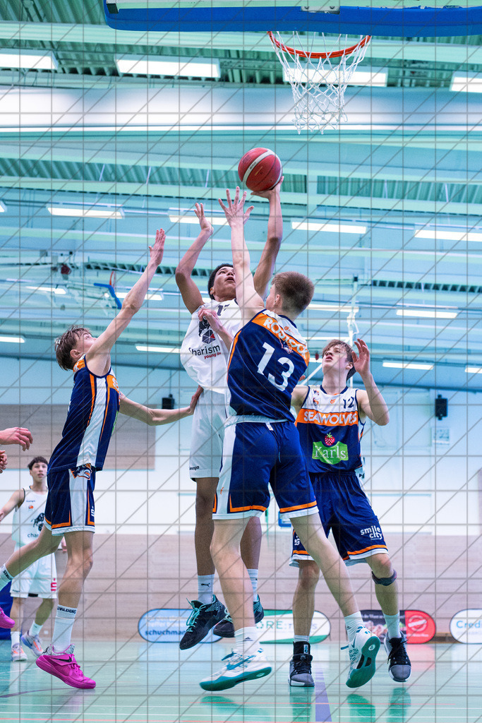JBBL 24/25 | 19.01.2025 | Charisma Young Bulls vs. Rostock Seawolves | JBBL 24/25 | 19.01.2025 | Charisma Young Bulls vs. Rostock Seawolves - - - - - CREDIT, www.bullenfotos.de, Martin König, Hörner Weg 40, D-49078 Osnabrück, +4917663732967, Nutzung und Weitergabe nur zu den vereinbarten Zwecken. Presseanfragen an Urheber. Alle Rechte beim Urheber. - - - - - - Realisiert mit Pictrs.com