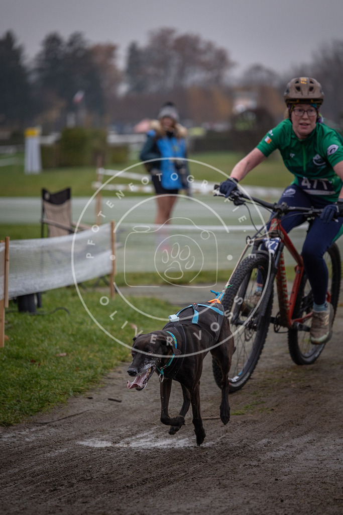 CaniXpix_0L8A1694 | Hundefotografie, Tierfotograf, Pfotenfotografie, Fotoshooting Hund, Hunde Portrait, Hundesport, Hundeportraits, Heideshooting, Hunde, Sportfotograf, Hundefotograf, Turnierhundsport, THS,  - Realisiert mit Pictrs.com