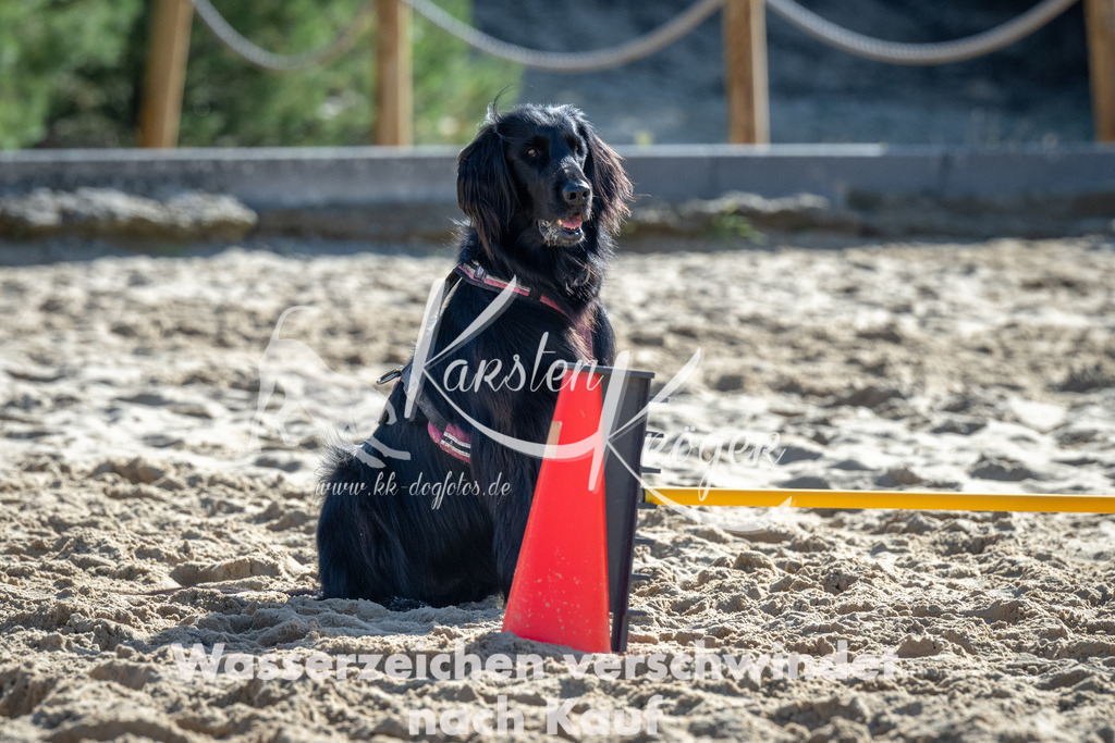 1149_ZZ92075-2 | kk-dogfotos