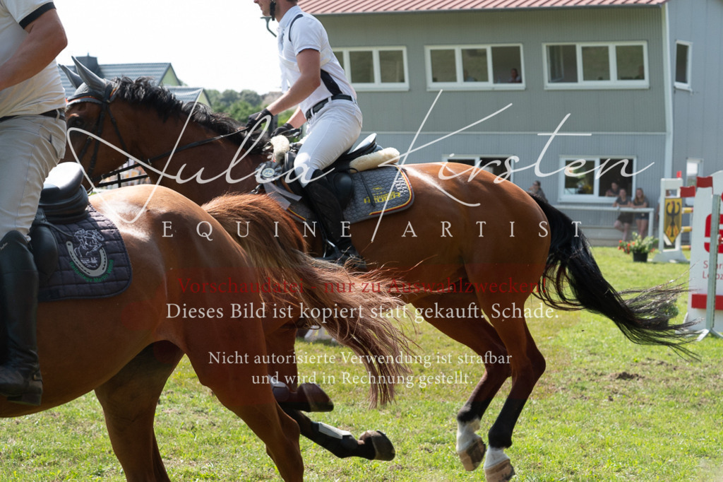 DSC_0718 | Pferde- und Turnierfotografie in Westsachsen. Pferdeportraits, Auftragszeichnungen und intuitive Kunst.
