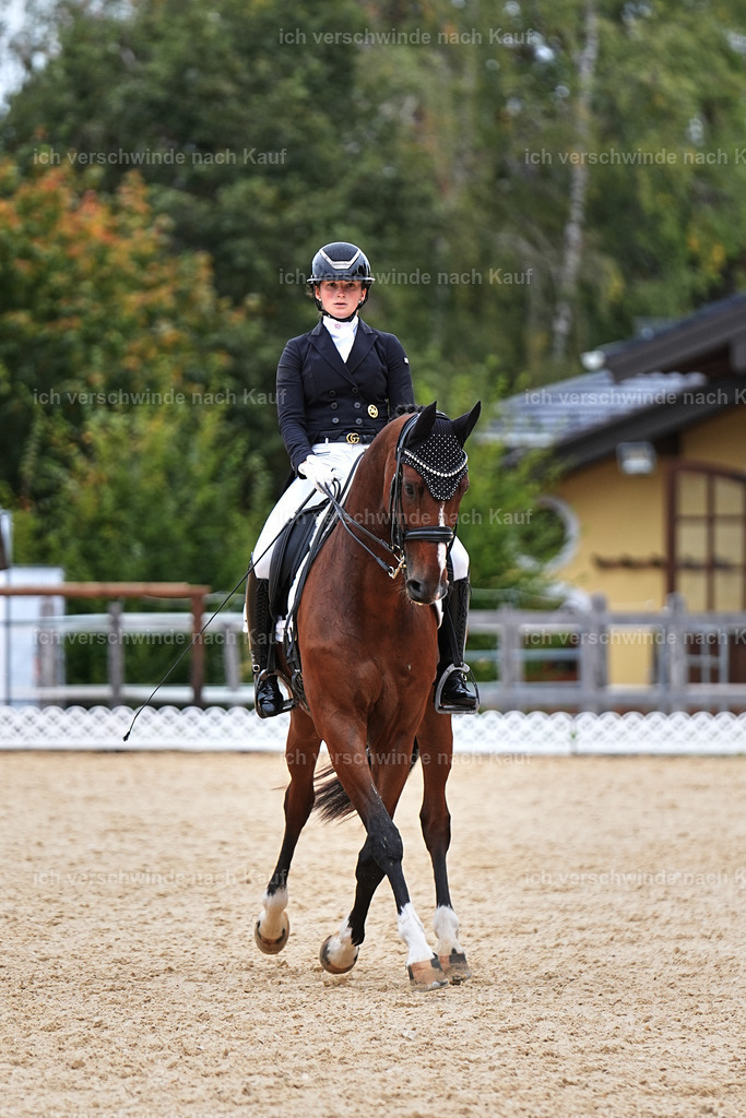 11-048-Dressur S___-Marixx-1519 | working equitationturnier fotograf videograf stoibphotography marixx film working equitation deutschland reitsport turnierfotografie eventfotografie equestrian events