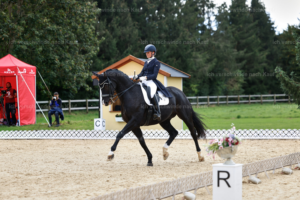 11-042-Dressur S___-StoibPH-1210 | working equitationturnier fotograf videograf stoibphotography marixx film working equitation deutschland reitsport turnierfotografie eventfotografie equestrian events