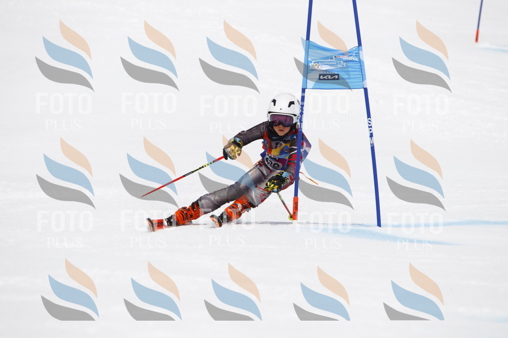 _U3G7242 | holidayphoto