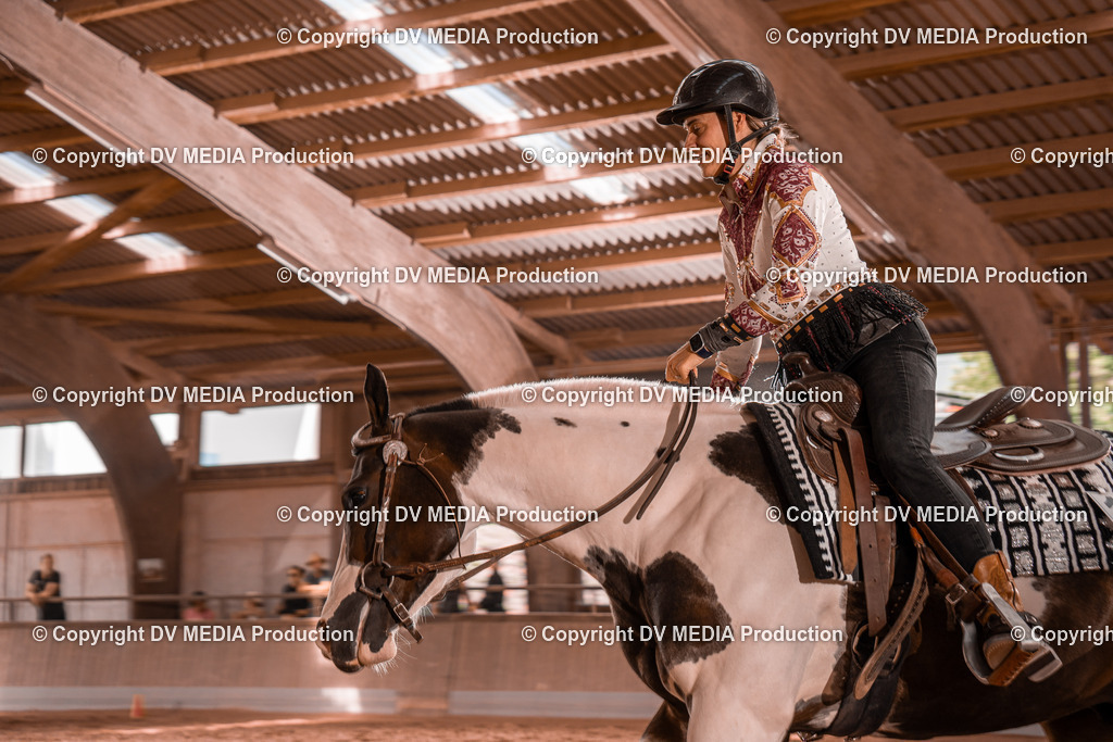 NE100581 | dv-media-shop - Realisiert mit Pictrs.com