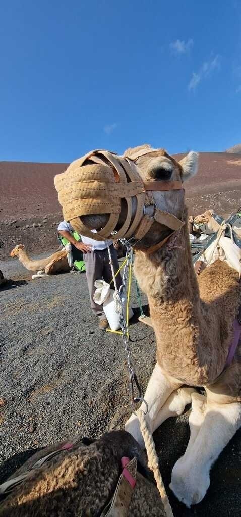 IMG-20241203-WA0023 | Heilkarten - Realisiert mit Pictrs.com