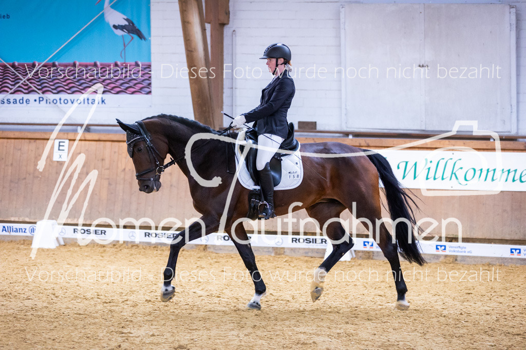 Sth-A-Dre-2St-171 | MomenTaufnahmen Pferdesportfotos