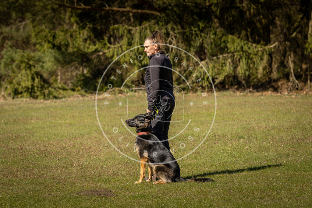 Pfotenfotografie_DV3A0459 | Hundefotografie, Tierfotograf, Pfotenfotografie, Fotoshooting Hund, Hunde Portrait, Hundesport, Hundeportraits, Heideshooting, Hunde, Sportfotograf, Hundefotograf, Turnierhundsport, THS,  - Realisiert mit Pictrs.com