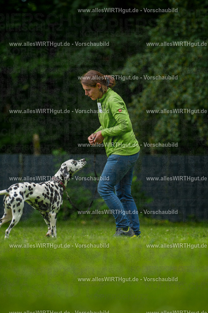@allesWIRTHgut_Tierfotografie - www.allesWIRTHgut.de - 135046-7R500051 | Professionelle Tierfotografie in Mönchengladbach von Daniel Wirth (allesWIRTHgut). Liebevolle & natürliche Bilder von Hunden & Katzen für unvergessliche Erinnerungen.