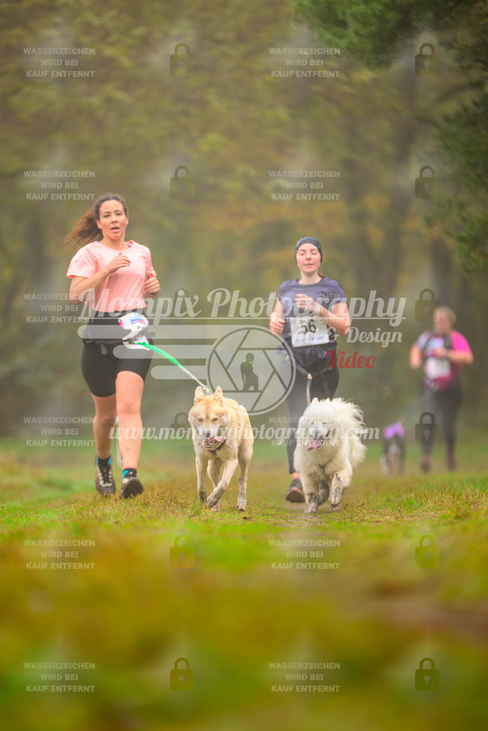 MompixPhotography_Bischwiller2025_Canicross-126 | mompixphotography