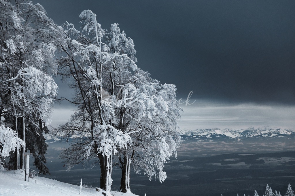 Natur_00003 | Sportbilder, Sportfotograf, Hochzeits- und Eventfotografin, Flugshows, Portraits und Tiershooting, Aviation, Downhill, Nationalleague, Swissleague, International