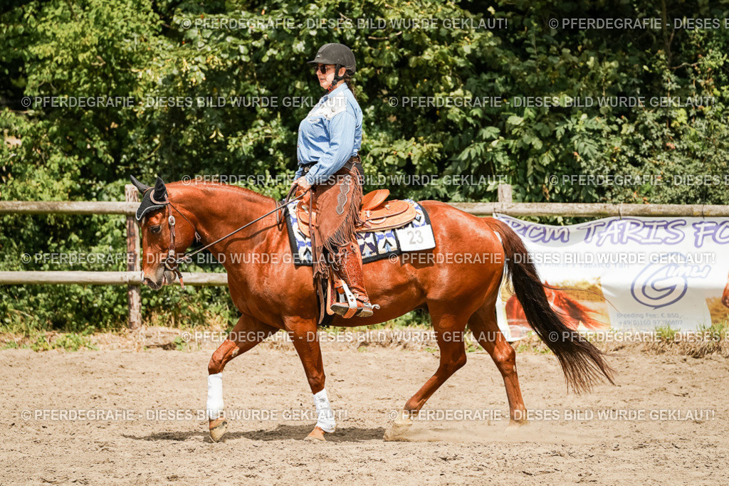 DSC00090 | Pferdegrafie