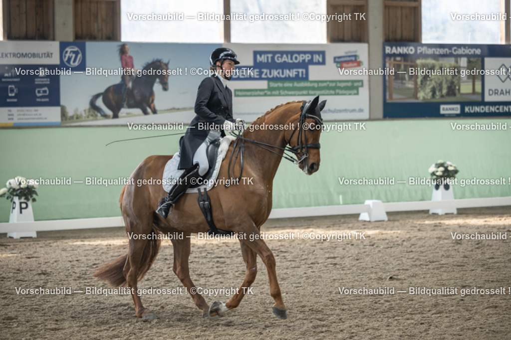 _D5A4597 | Emotionale Pferde- & People-Fotografie rund um Heidelberg, Leimen & Umgebung. Natürliche Fotos von Pferd, Mensch & Familie. Jetzt Termin sichern!