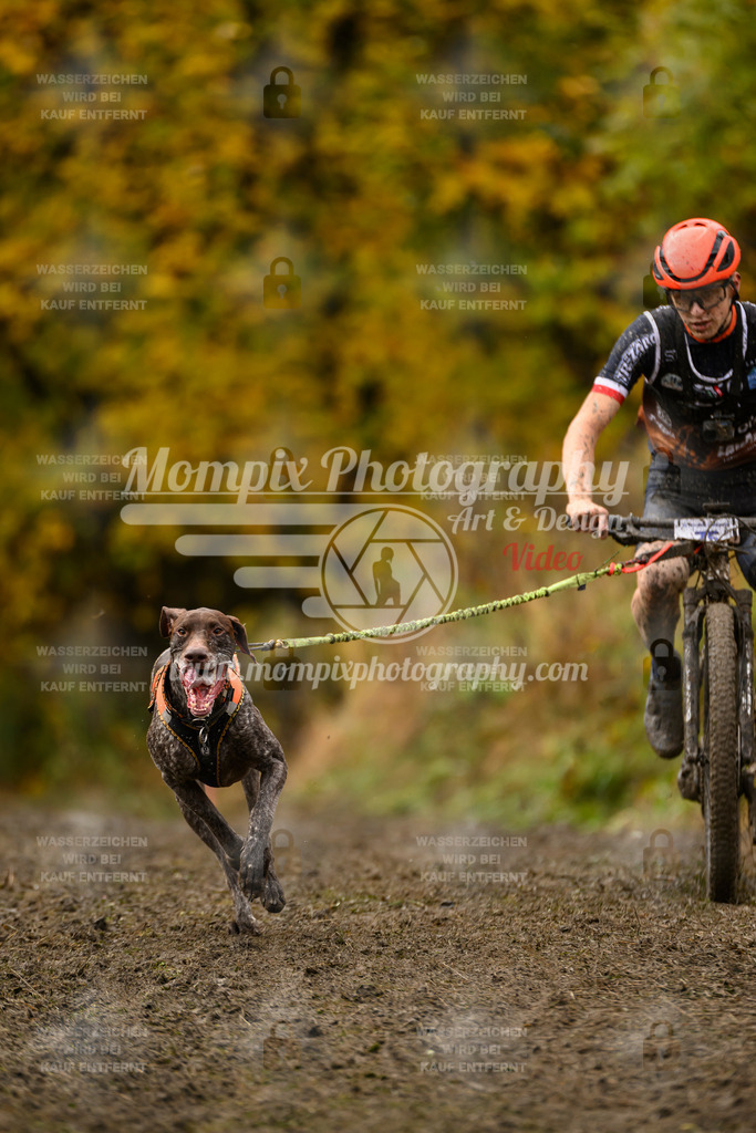 MompixPhotography_ICF_WC_2024_SA_Bike_-2 | PayLife