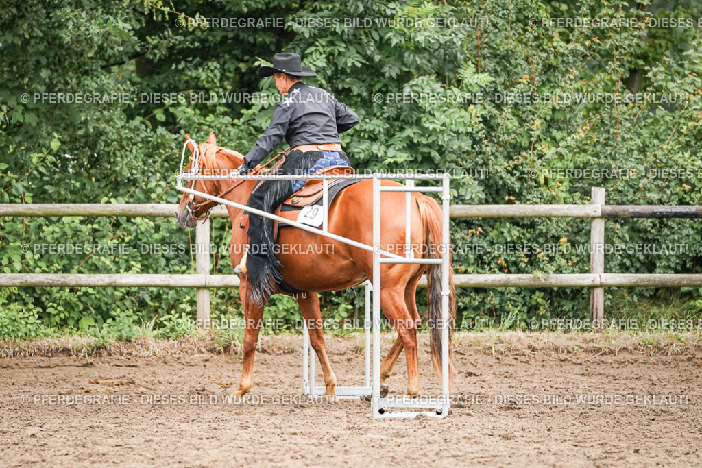 DSC03534 | Pferdegrafie