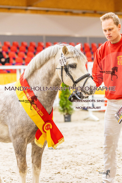 0P2A0845 | mandyhollmannphotographie